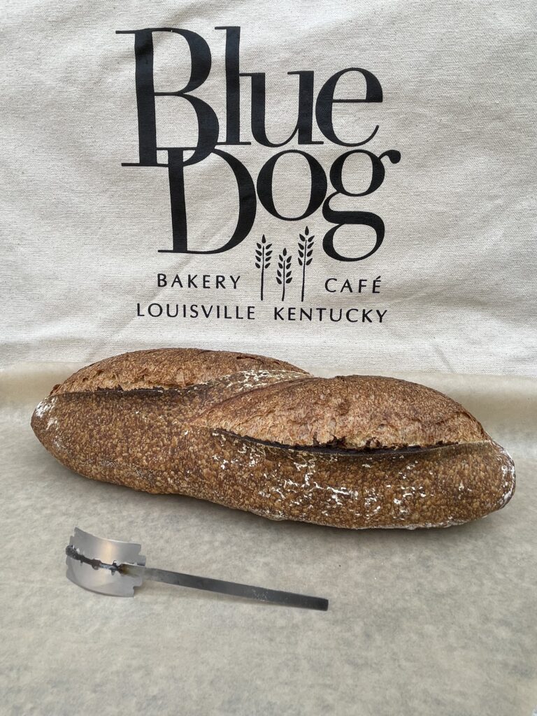 blue dog